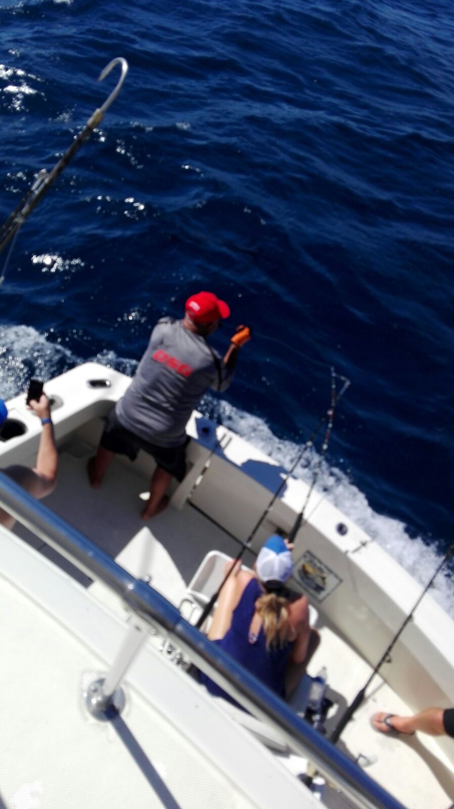 We just love when this happens!Peace, Love, Fresh AirBIG Marlin released and Fresh Fish for Dinner!Visiting from Montgomery, Texas