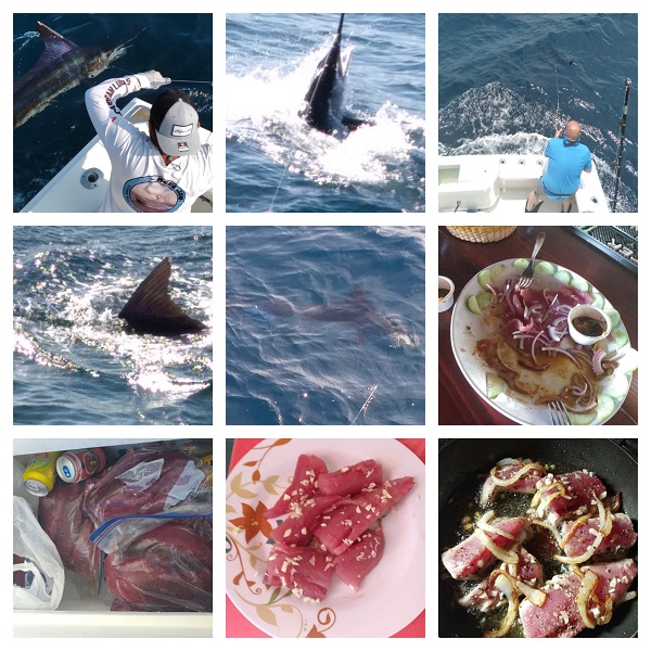 Lets get some fish to eat today!” May 12