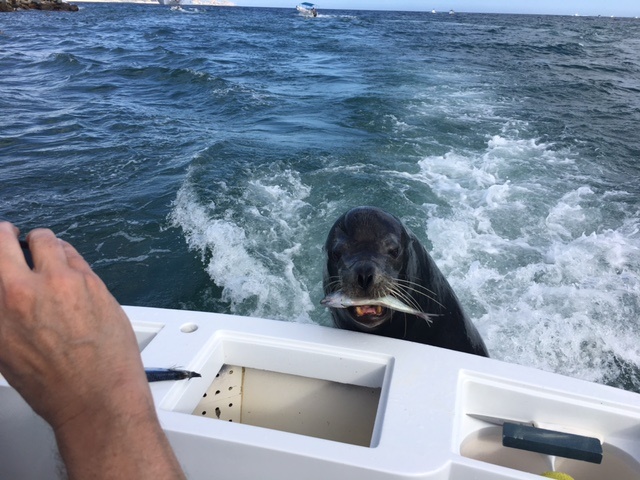 Visiting from Tucson, Arizona