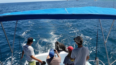 The Grogono Family – Martin, Jen, Max, Lilly and Fili – visiting from Austin, TexasFun Family Day with Capt Jose
