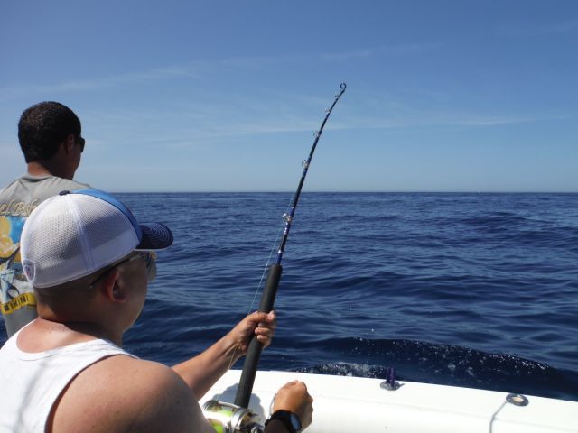 Hi Lori,We had a wonderful Saturday. Here are a few pictures… catching 9 Marlin is a wonderful way to spend a Saturday.
