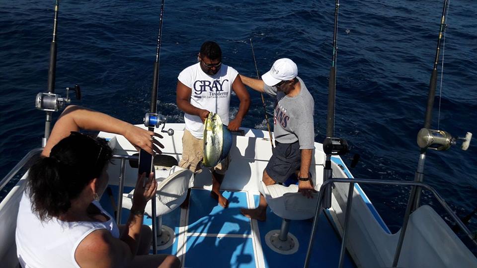 Visiting from Scottsdale, ArizonaJanelle Pera surprised her husband Fred with a trip to Cabo and a fishing trip with us and Capt Jose .. Sept 10, 2016 They boated and kept 5 Dorado and released many more.