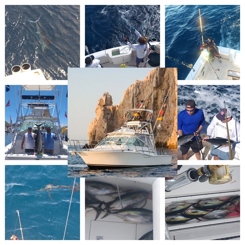 This is how we do it ….”35′ Cabo Express