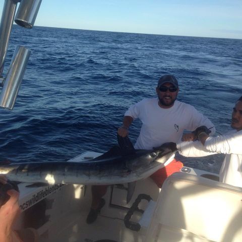 Thanks Lori here’s your fishing report.Day one 31′ Blackfin anglers were Bob Sweger, Brad Johnson, Joe Wells and his son Nick – caught 10 Stripes and 2 Dorado I’st marlin for Nick,Joe and Brad. Aboard 31′