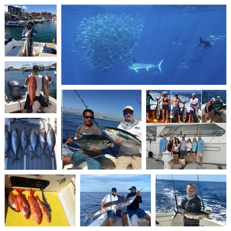 We must give a shout out to those who have travelled and chosen to fish with us.Some of you prefer no photos, and we will respect that. Some of you prefer first names only, and we will respect that too!