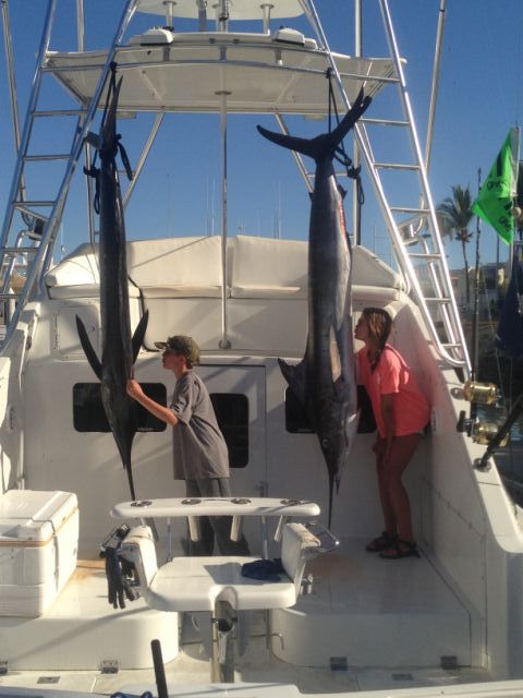 It was awesome!!! Back at hotel and caught two marlin!! It was perfect!!!!!