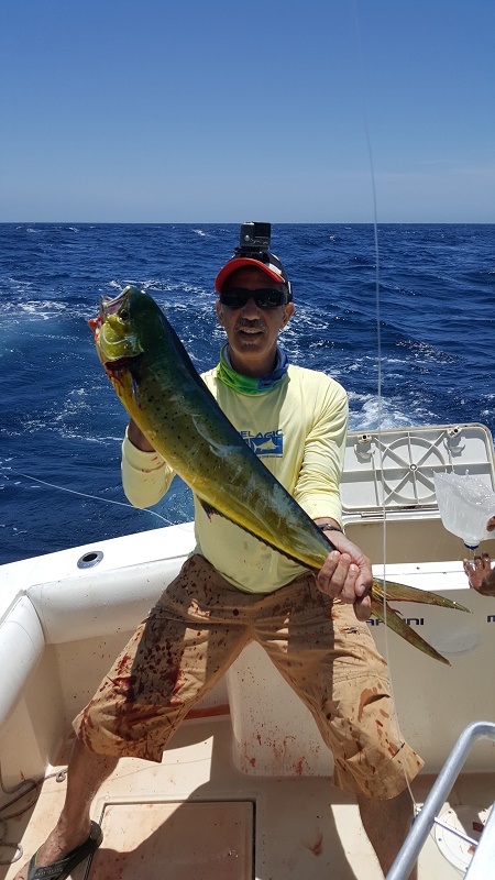 Here are a couple pict Lori, It was a good trip. The wind made for a pretty bouncy trip. It reminded me of fishing out of Oregon. These guys worked very hard. Excellent crew. We got two yellow fin tuna, a Mahi Mahi, and a Striped Marlin. We will book again next year.