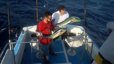 VIP Guests Collin Byrnes, Mark Haynes and Matt Eddy visiting from Long Beach, Calif. fished Sept 1st with Capt Jose and caught three beautiful dorado. Ring the dinner bell!