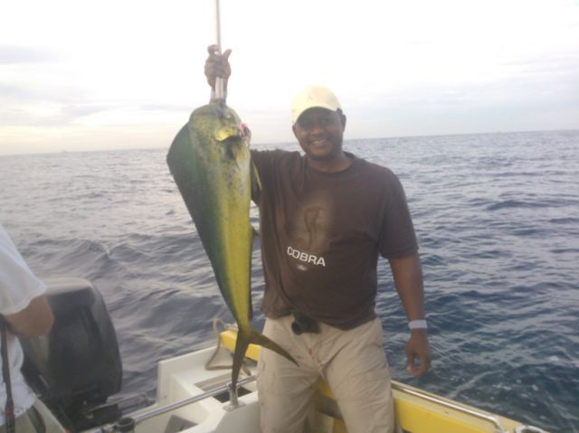 VIP Guest Demarest Reed visting from Upper Marlboro, Maryland panga fished with us today – with Captain Justo – what a day! This is one gorgeous Dorado they caught .. They also released 2 Striped Marlin