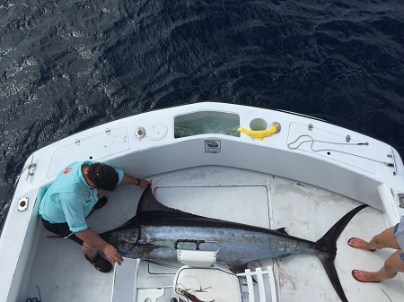 Fishing 