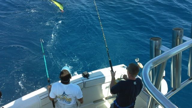Casey was one of those captains that anyone of us could talk to for hours and we did! Amazing experience and stories. Can’t wait to get back on his boat!!