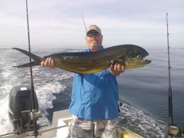 Panga fishing after the storm!June 10th Todays bountyCR&R 1 Striped Marlin + 1 Dorado