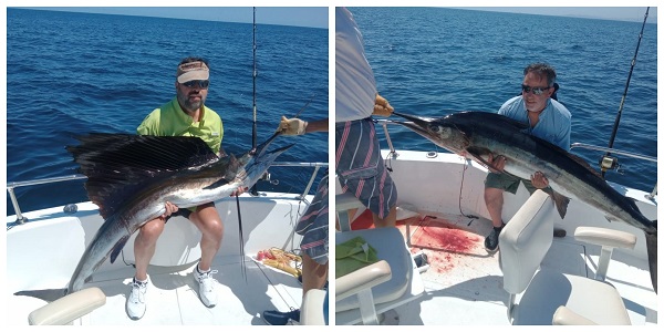 One Pacific Sailfish PEZ BELLA and One Striped Marlin both released after photos
