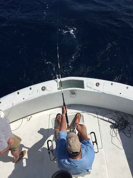 VIP Guest Bryan Nieman has been fishing with us since 2008.Until Friday Oct 28, 2016 he couldn’t check BLUE MARLIN (Marlin Azul) off the list .. CONGRATULATIONS BRY!!Fishing with Greg Nieman, Angelo Pazienza and Mike Diazwith Capt Carlos at the helm!