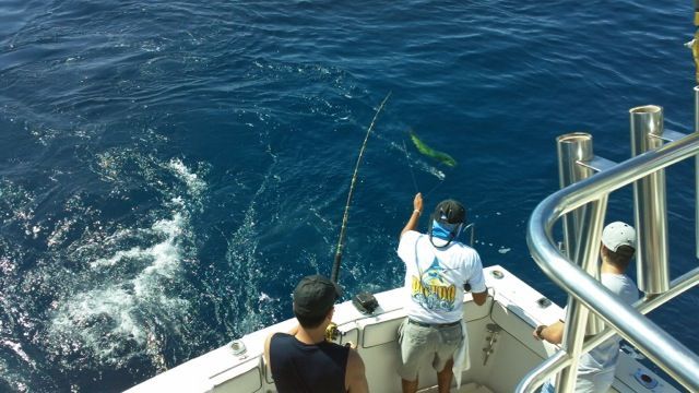Casey was one of those captains that anyone of us could talk to for hours and we did! Amazing experience and stories. Can’t wait to get back on his boat!!