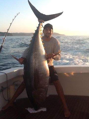 THIS is a Yellowfin Tuna — yet another realllly big one caught by our Captain Francisco … He has one with your name on it too!