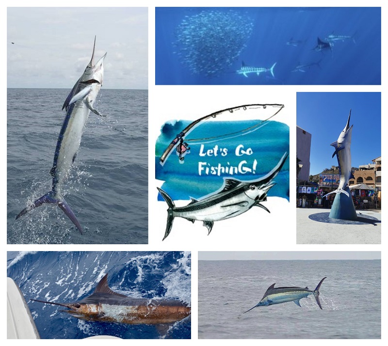 Interested in sharing a charter ?Contact the office to discuss and explore.