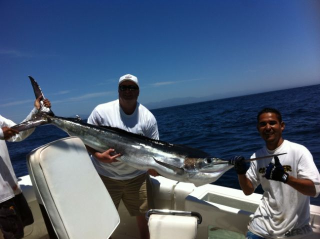 Visiting from Columbus, Georgia, are VIP Guests Ronald & Kim Thomas, Clay Thomas and Shawn Thomas fishing with us taboard 37′ Bertram with Captain Franky. They CR&R 5 Striped Marlin today May 14th.