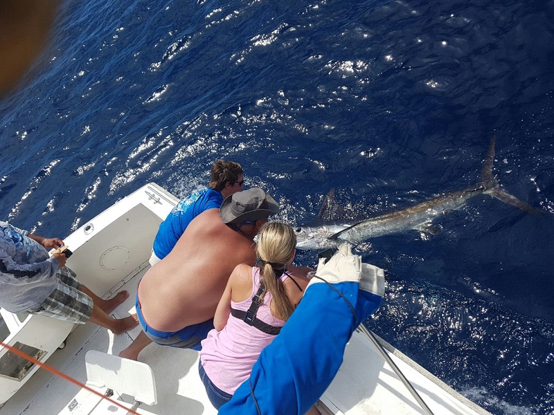 Day two of three forReturn VIP Guests Ken Knowles and familyKen, Hallie, Sierra and Collin and a smiling Capt Roberto!Todays bounty: 2 Striped Marlin released and 1 yummy Red Snapper PARGOvisiting from Pensacola, Florida