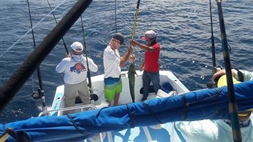 Visiting from Bakersfield, California, amigo John Osborne with buddies Ed Guis and Chris Guis had a good and fun day with Capt Jose Aug 25, 2016