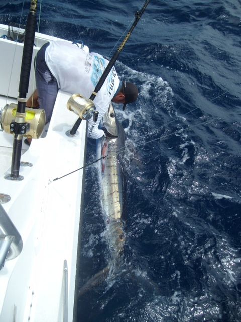 Just wanted to thank you and your guys for an awesome trip! Like I said before I could have never imagined we would have caught so many fish! We had such a good time and definitely a unforgettable anniversary! ;)