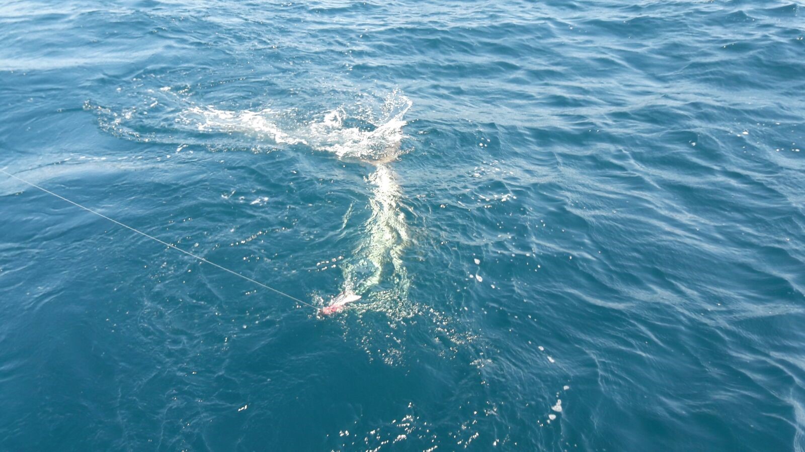 It was fun!! We were on one marlin, but it wasn’t interested. Lol. Juan and Jose (probably spelling his name wrong) were great!!