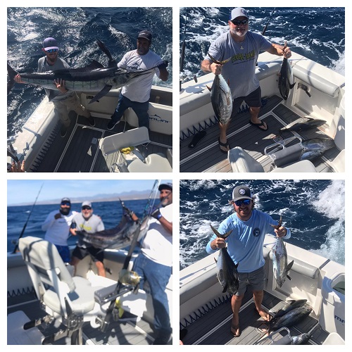 Feb 3 202135′ CaboWho wants tuna?Got Wasabi?Catch and Release Marlin!