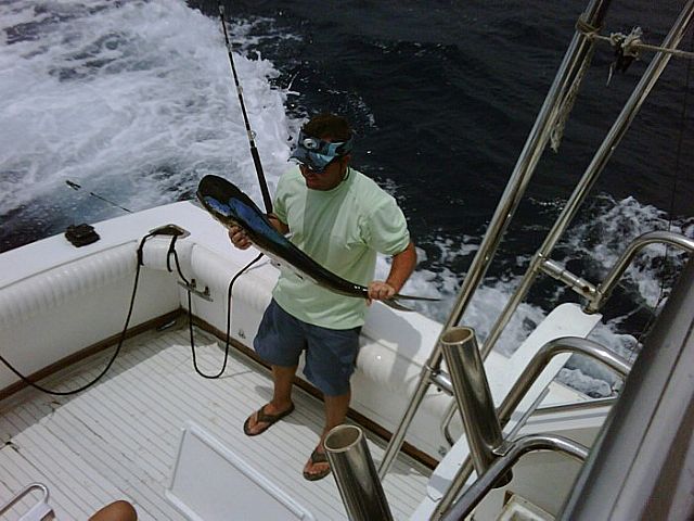 CR&R 1 Marlin Reyado (Striped Marlin) + 1 Dorado