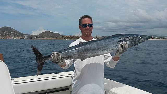 Fresh Dorado and Fresh Wahoo