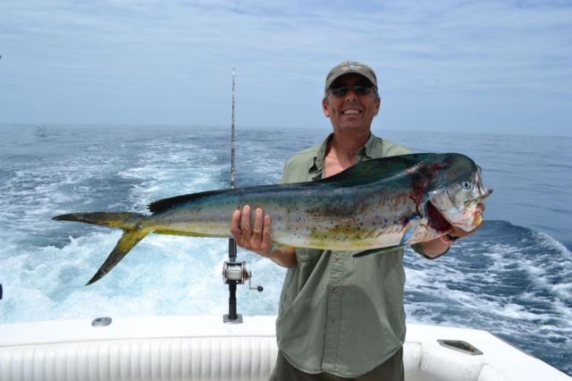 Here are a couple nice Dorado photos from our trip.
