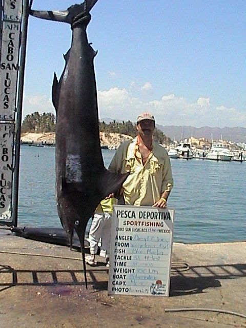 Here’s the photos from out fishing trip. We had a great time. 350 lb. blue 126”. 60 lb. sailfish.