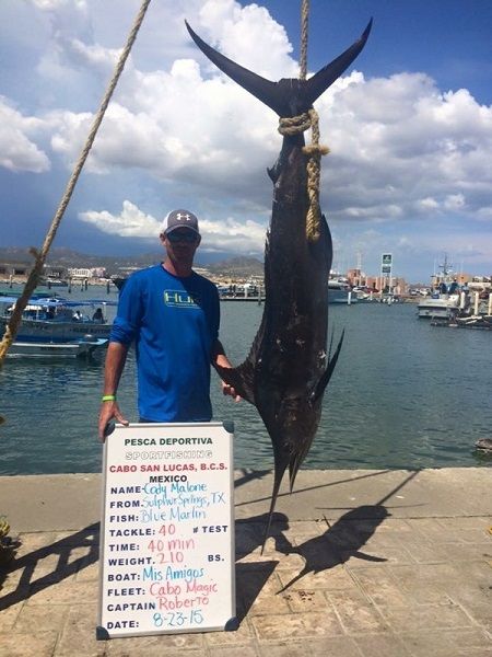 How many MARLIN AZUL can you fight in one day