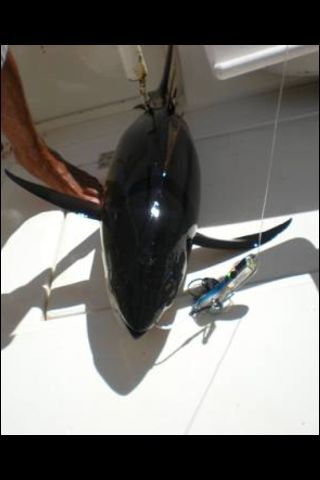 Natoshea’s first fish!!!! Natoshea’s fish with the surprise gift lure!!