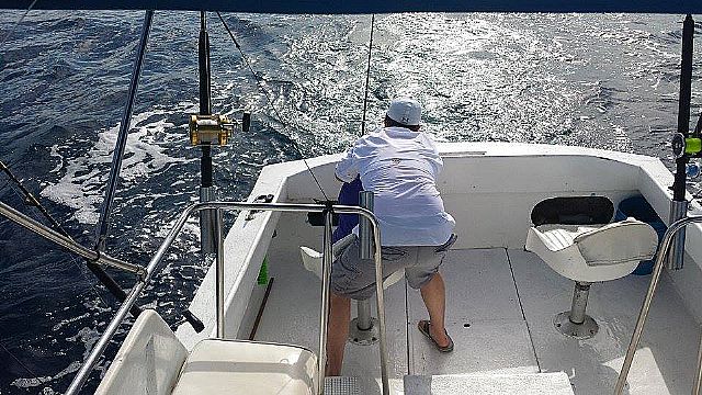 These awesome photos tell so much about family time together -6