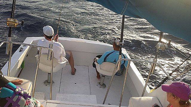 These awesome photos tell so much about family time together-9