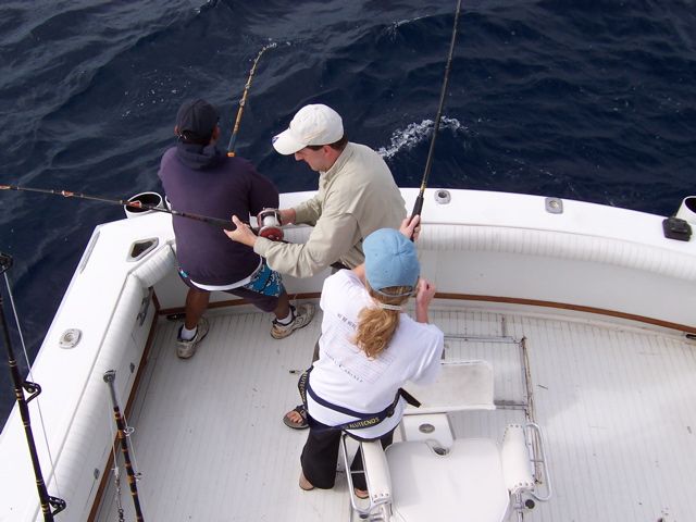 This time we had three Stripe Marlin on at one time. 