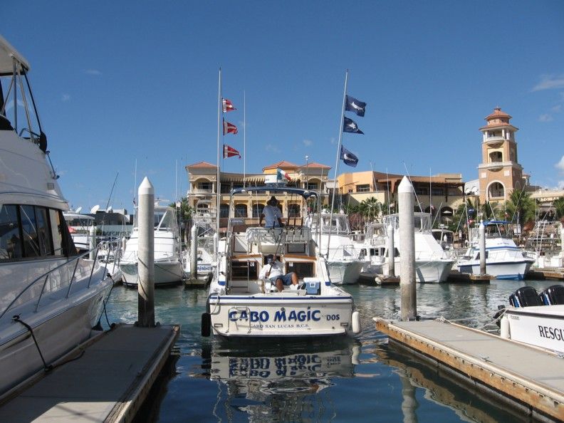 CR&R 3 Striped Marlin – New VIP Guests James Cook, Alexandru Niculaie, Bob White – Huntington Beach, California
