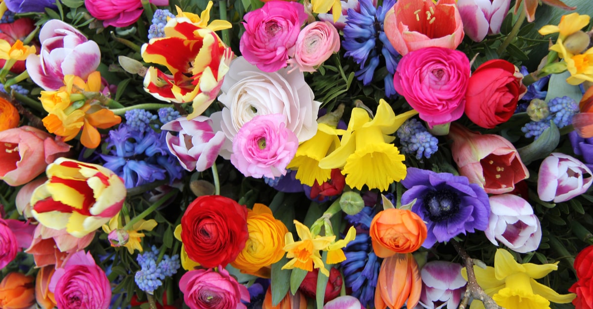 Mothers Day