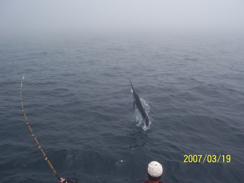 CR&R 3 Striped Marlin – New VIP Guests The Steve Brown Group – Topeka, Kansas