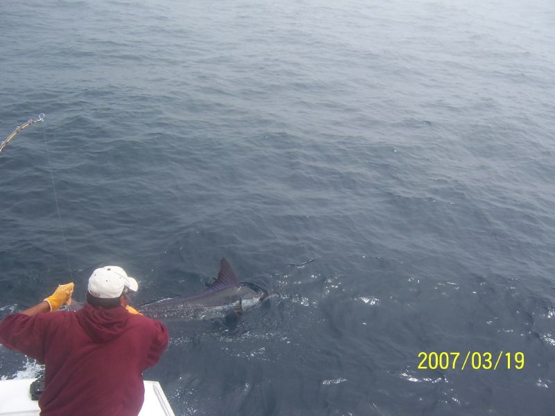 CR&R 3 Striped Marlin – New VIP Guests The Steve Brown Group – Topeka, Kansas