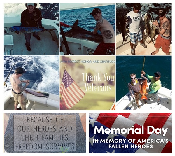 Freedom Is Not Free