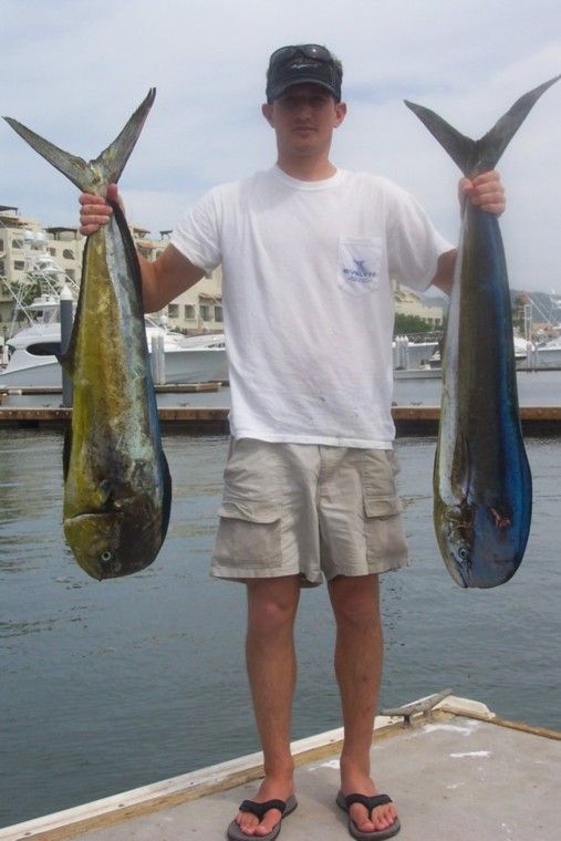 “PANGA” Oct 4/5 2007″CABO MAGIC Dos” Oct 8, 2007
