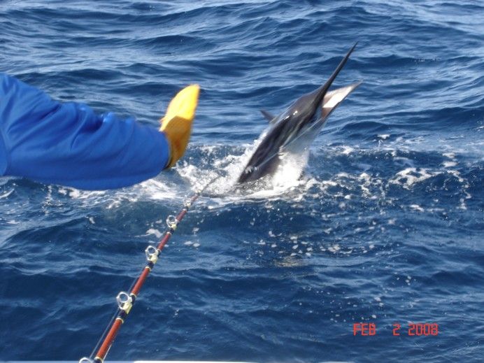 CABO MAGIC FEb 01, 2008