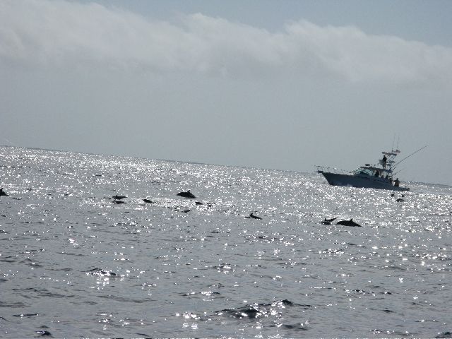 March 4, 2008 “CABO MAGIC”