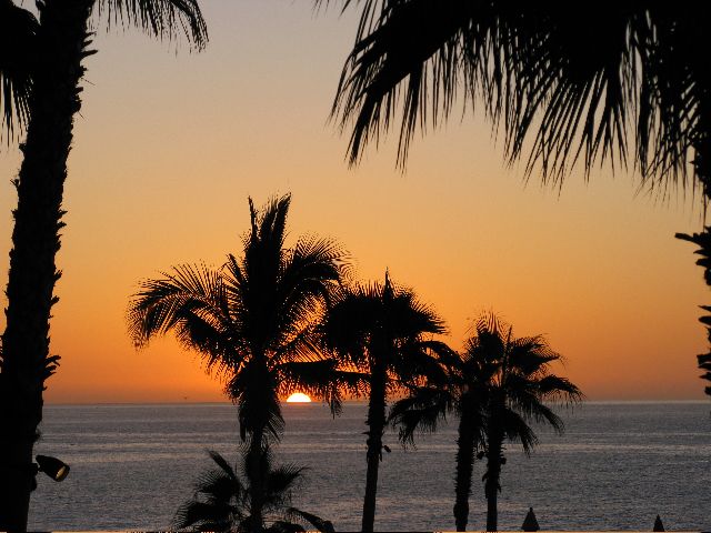“CABO MAGIC” March 4, 2008