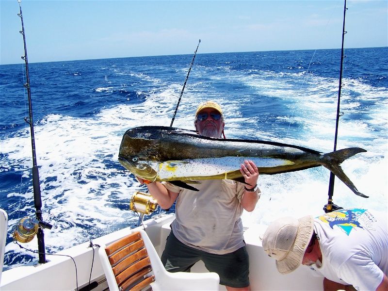 We had a great time again fishing 4 days this trip on your 28′ boat Laurita. What a bargain. Cha Cha and Gabriel were the best. Always happy, helpful and great at spotting the fish. I caught the largest striped Marlin ever and many Dorado. See you in November. Kent Wilson Farmington,NM kentwilson.biz “LAURITA” September