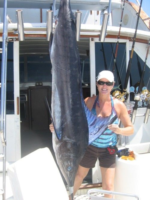 Thanks : We had a great day of fishing.Three marlin hookups, two caught. Eight dorado, yellowfin tuna (dinner). Hector and Carlos are professionals
