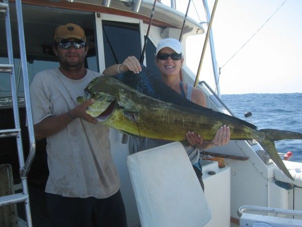 Thanks : We had a great day of fishing.Three marlin hookups, two caught. Eight dorado, yellowfin tuna (dinner). Hector and Carlos are professionals