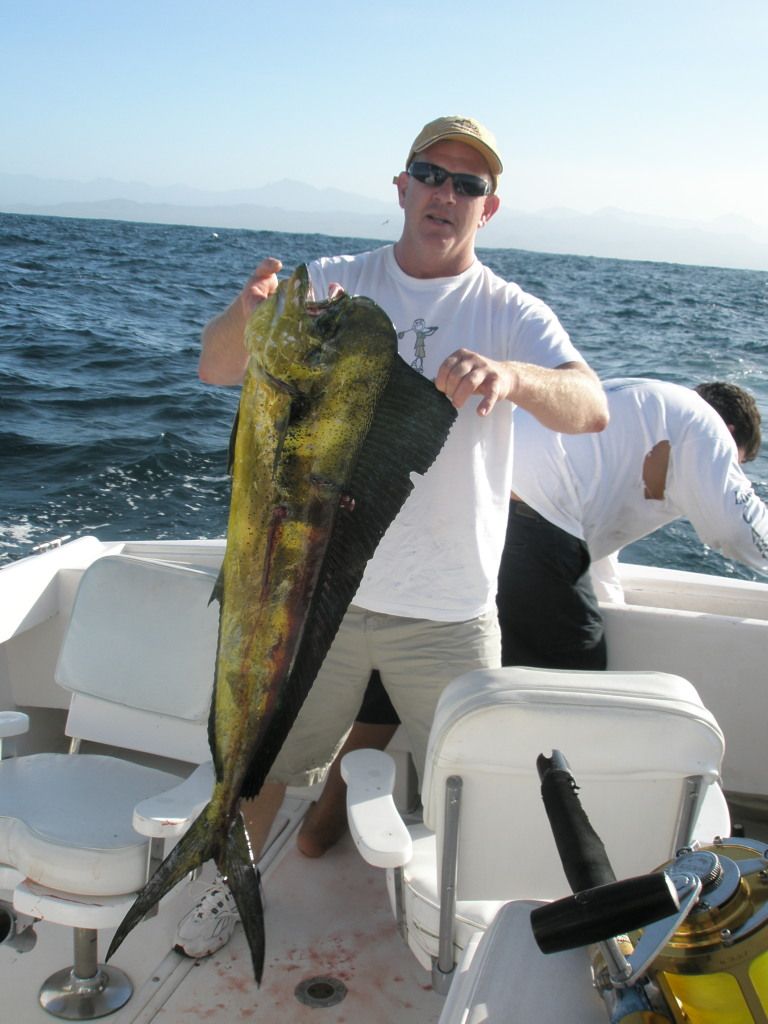 HI TOMMY & LORI, BILL GOODNIGHT HERE. YOUR GUYS WERE A BLAST! ON THE FISH ALL DAY. 5 DURADO, 1 MARLIN AND 1 GERAT TIME!! THE CREW FROM GENUINE AUTO GLASS WILL BE BACK FOR SURE. THANKS AGAIN