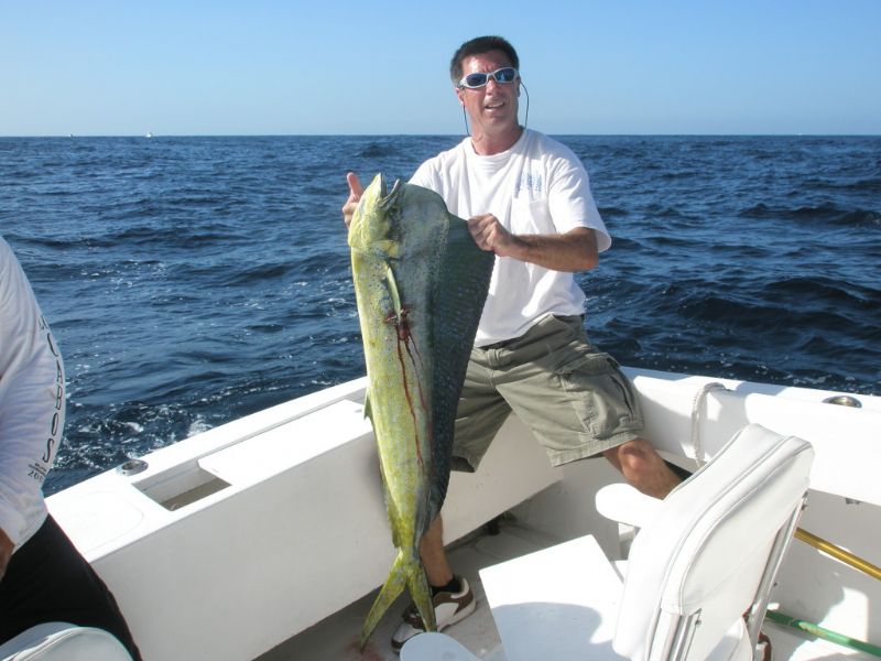 HI TOMMY & LORI, BILL GOODNIGHT HERE. YOUR GUYS WERE A BLAST! ON THE FISH ALL DAY. 5 DURADO, 1 MARLIN AND 1 GERAT TIME!! THE CREW FROM GENUINE AUTO GLASS WILL BE BACK FOR SURE. THANKS AGAIN